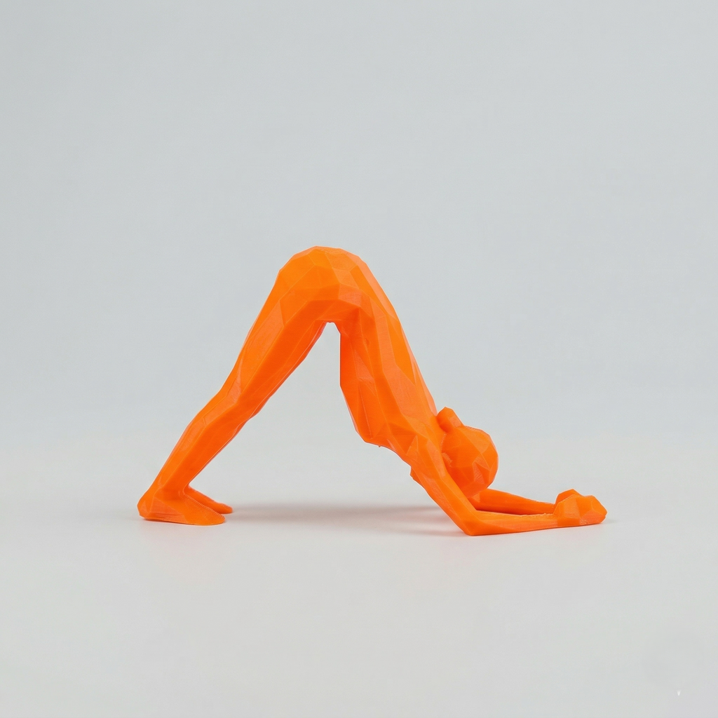 POSE PLASTICHE