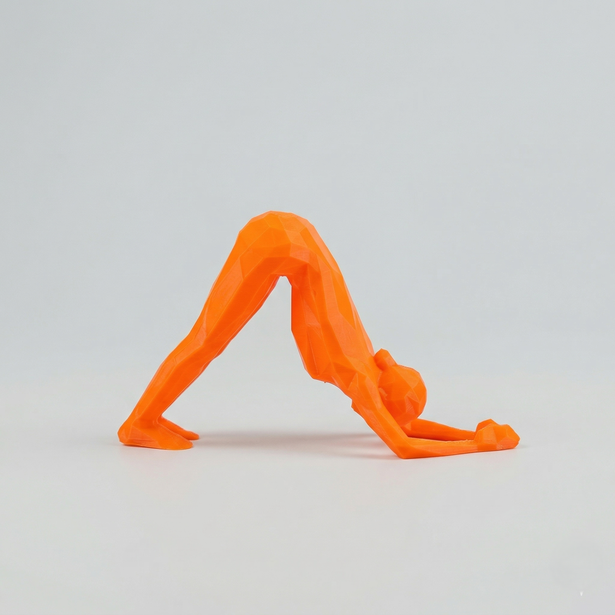 POSE PLASTICHE