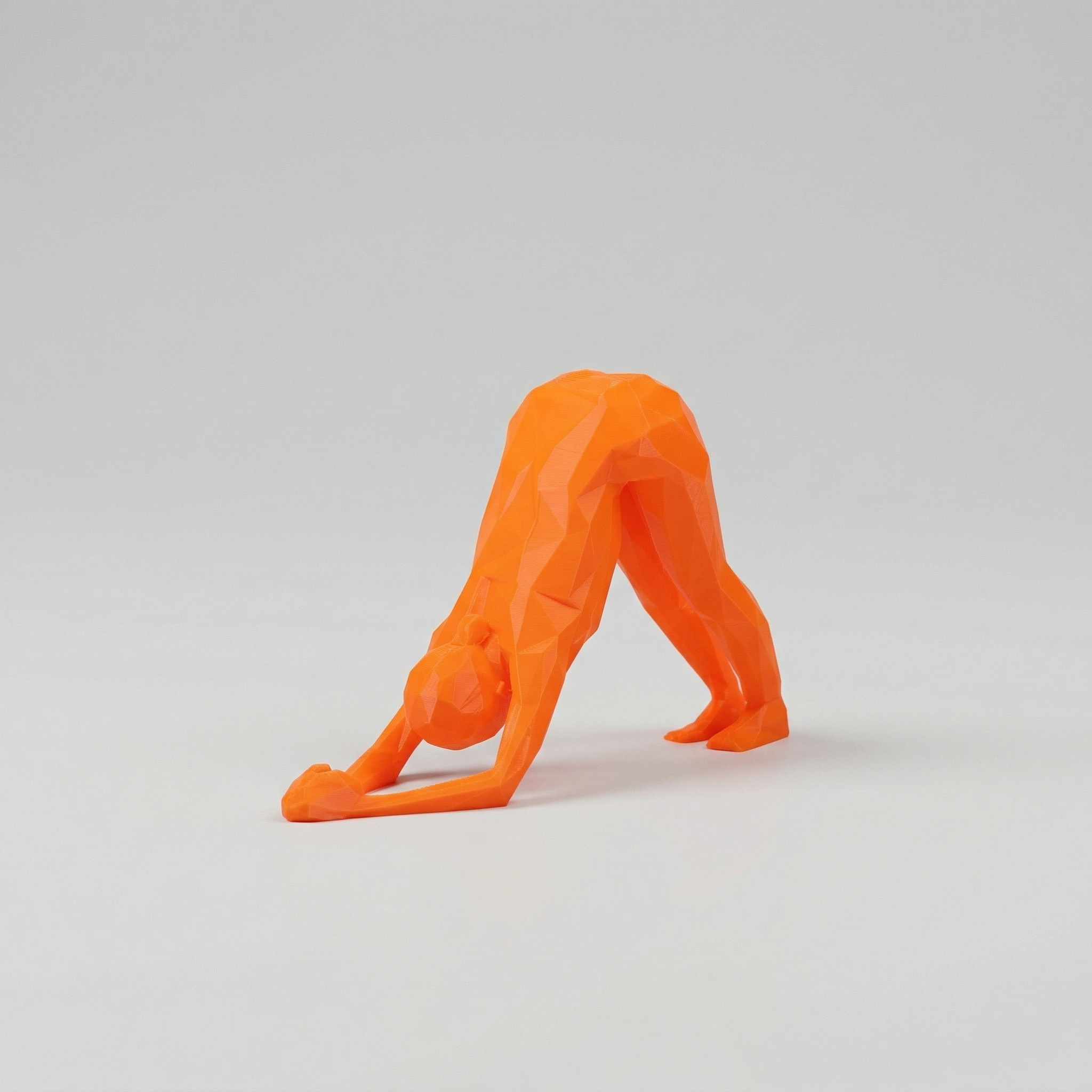 POSE PLASTICHE