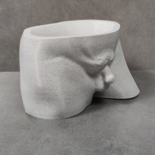 LA SOSTANZA DI DAVID