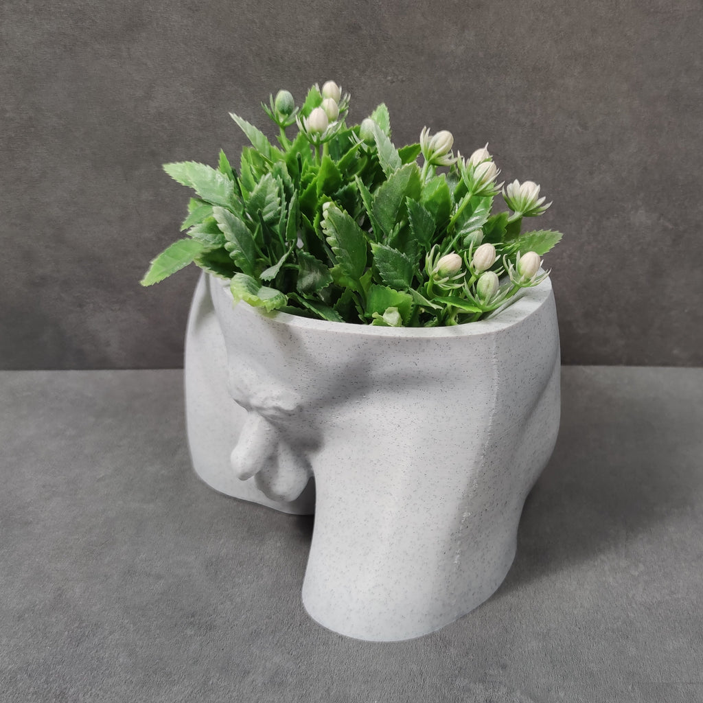 LA SOSTANZA DI DAVID